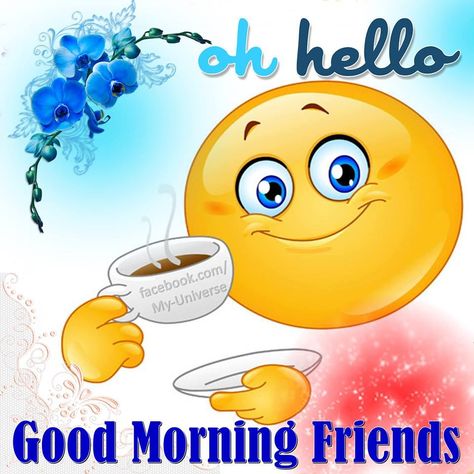 Oh Hello Good Morning Friends Pictures, Photos, and Images for Facebook, Tumblr, Pinterest, and Twitter Good Morning Hello Kitty, Hello Good Morning, Morning Quotes For Friends, Good Morning My Friend, Friends Pictures, Hindi Status, Happy Morning Quotes, Funny Good Morning Quotes, Good Morning Images Hd