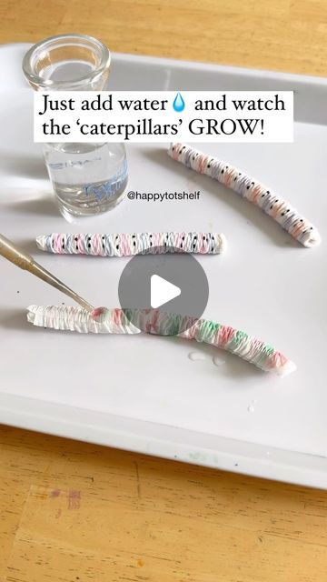 Fynn Sor | Happy Tot Shelf on Instagram: "🐛✨ Watch these caterpillars grow right before your eyes!

💫 What’s the science behind this experiment? 💫
Paper towels are mostly made of cellulose, a material that loves water. When you add water, the cellulose fibres soak it up through capillary action, causing the paper towel to expand.

🤩 Want more kid-friendly science experiments? Comment ‘Science’ and I’ll send you our list of easy and fun science experiments for preschoolers – perfect for sparking your young learner’s curiosity!

#ScienceForKids #FunExperiments #GrowingCaterpillars #HandsOnLearning #STEMactivities #HappyTotShelf #KidsScience #DuploInspiration #EducationalFun #CuriousKids #earlylearning #preschoolactivities" Capillary Action Experiment, Easy Experiments For Kids Preschool, Experiments For Preschoolers, Water Experiments For Kids, Toddler Entertainment, Science Experiments Kids Preschool, Fun Science Experiments, Capillary Action, Water Experiments