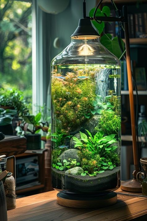 Cylindrical Fish Tank, House Plant Aquarium, Fairy Aquarium, Desk Aquarium, Office Aquarium, Plant Aquarium, Fish Tank Themes, Aquarium Garden, Fish Tank Terrarium