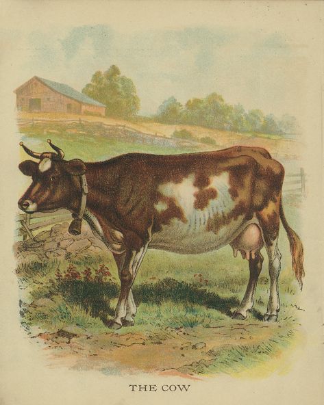 All sizes | Vintage Cow Drawing | Flickr - Photo Sharing! Cow Drawing, Animal Printables, Free Vintage Printables, Printable Pictures, Cow Painting, Dairy Cows, A Cow, Landscape Drawings, Animal Cards