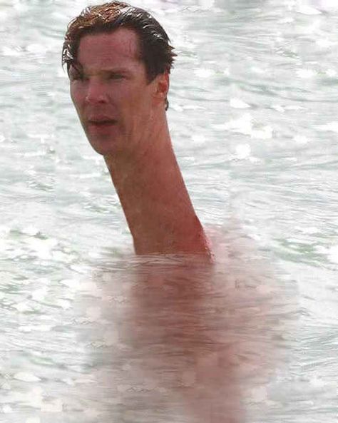 Benedict Cumberbatch's Long Neck Is Your New Favourite Meme People With Long Necks, Long Neck Hairstyles, Benedict Cumberbatch Funny, Curse Images, Avengers Humor, Funny Post, Marvel Images, Marvel Avengers Funny, Avengers Memes