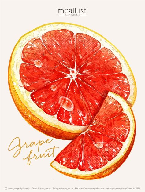 Graphic Shapes Pattern, Fruit Art Drawings, Fruits Drawing, Food Painting, Fruit Illustration, Citrus Trees, Fruit Art, Pretty Wallpaper Iphone, Food Drawing