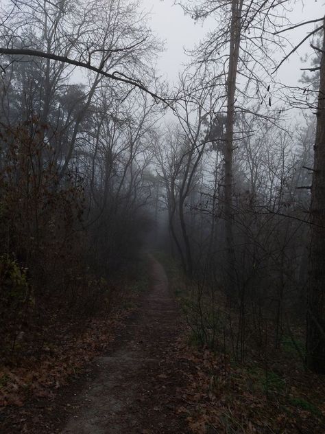 Pnw Fall, Highway Men, Dark Autumn, Dark Nature Aesthetic, Season Of The Witch, The Secret History, Best Seasons, Autumn Aesthetic, Samhain