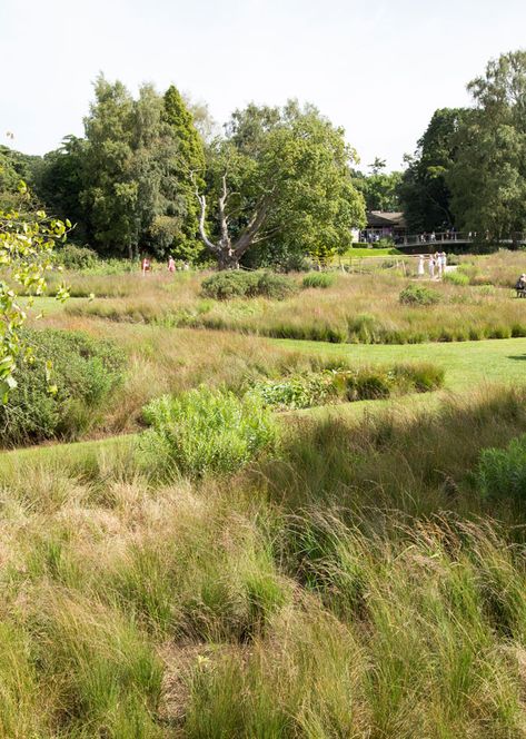 Stormwater Management Design, Persicaria Bistorta, Astilbe Chinensis, Trentham Gardens, Brown Landscape, Wild Gardens, Malfoy Manor, Prairie Planting, Management Design