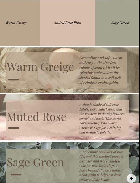 Soft Pink And Sage Green Bedroom, Pink Green Beige Bedroom, Pink And Sage Colour Palette, Pink Sage Green Living Room, Blush Pink And Sage Green Living Room, Sage And Pink Dining Room, Sage Green Blush Bedroom, Sage And Blush Bedroom Decor, Nursery Ideas Sage Green And Pink