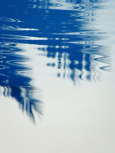 Palm tree ripples | They are real ripples, no Photoshop ripples! Palm Tree Photography, Alternative Photography, Water Effect, Water Ripples, Colorful Life, Water Art, Graphic Design Trends, Solid Color Backgrounds, Landscape Drawings