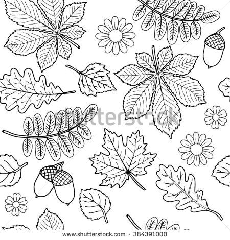 Vector seamless autumn leaf pattern Flora Drawings, Border Background, Twig Branch, Quality Family Time, Frame Border, Download Image, Tree Drawing, Drawing Images, Black Aesthetic Wallpaper