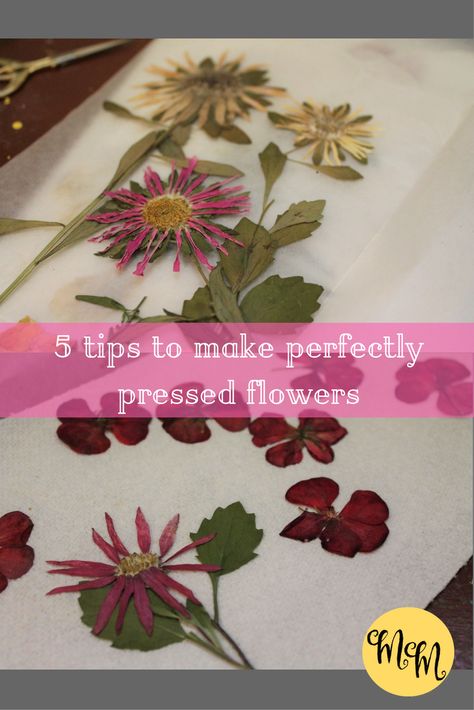 Best Flowers For Pressing, How To Dry Press Flowers, Storing Pressed Flowers, Pressed Zinnias, Herbal Crafts, Hammered Flowers, Dried Flowers Crafts, Preserving Flowers, Pressed Flowers Diy