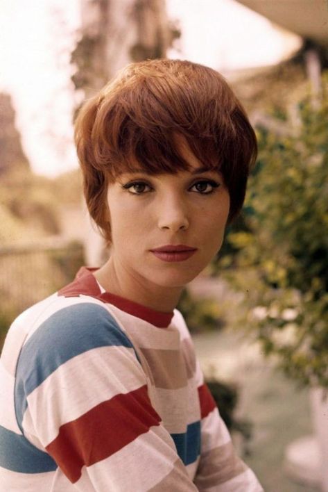 Elsa Martinelli, Elsa Pictures, Italian Actress, Julianne Hough, Sienna Miller, Cute Cuts, Cooler Look, Pixie Hairstyles, Classic Beauty