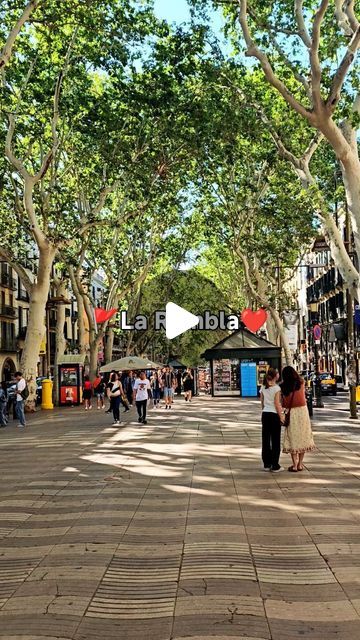 Barcelona info on Instagram: "I just love walking along La Rambla in Barcelona. How about you?
#barcelona_information_site #larambla #barcelonagram #barcelonalovers #bcn" Las Ramblas Barcelona, Just Love, Barcelona, Walking, On Instagram, Instagram