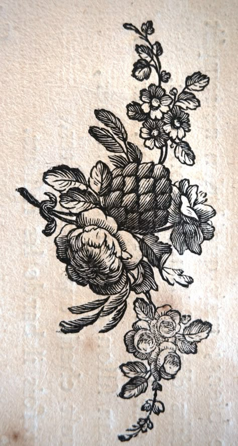 Botanical Illustration Vintage Black And White, Hand Of Mysteries Tattoo, Floral Engraving Pattern, Victorian Floral Tattoo, Etching Tattoo Style, Engraving Flower Tattoo, Engraving Tattoo Sleeve, Victorian Flowers Illustration, Victorian Flower Tattoo