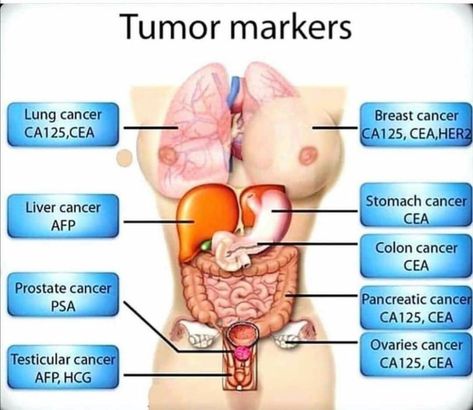 Hematology Nursing, Pharmacy School Study, Medical Terminology Study, Nurse Teaching, Nursing School Essential, Nurse Study Notes, Nursing Mnemonics, Medical Student Study, Medical Laboratory Science