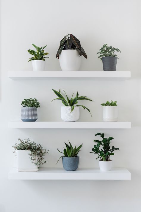 Layering Plants, Ideas For Living Room Decor, Creative Shelving Ideas, Creative Shelving, Decoration Nails, Home Decor For Bedroom, Minimalist Shelves, White Floating Shelves, Decorating Bedroom