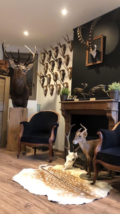 Trophy Wall Hunting, Vintage Hunting Lodge Decor, Trophy Hunting Room, Deer Trophy Room, Hunters Home Decor, Trophy Rooms Hunting Ideas, Hunting Interior Design, Modern Hunting Decor, Deer Hide Projects