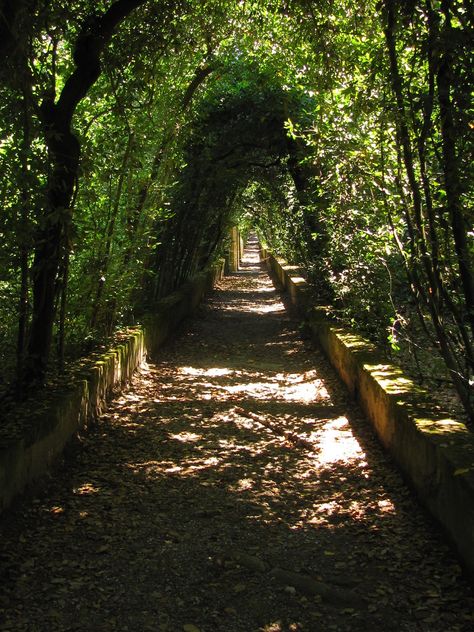 Visiting the Boboli Gardens in Florence Boboli Gardens, Italy Images, Visit Florence, Reflection Photos, Cities In Italy, Italian Garden, Charming Garden, Florence Italy, Best Cities