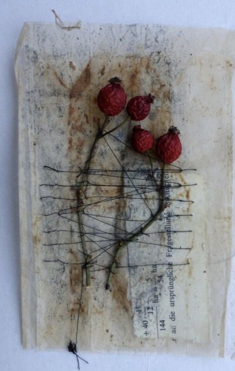 Ines Seidel, Tee Kunst, Teabag Art, Girls Work, Used Tea Bags, Tea Bag Art, Rose Hips, Bag Art, Encaustic Art