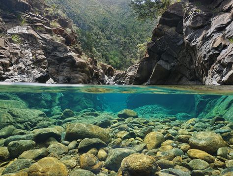 Underwater Rocks, Underwater River, Rainbow Trout Fishing, Rock River, Water Landscape, Under The Water, River Rocks, Natural Pool, Rock Pools