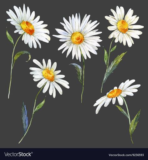 Daisy Watercolor, Daisy Drawing, Watercolor Daisy, Daisy Painting, Flower Art Drawing, Painted Jeans, Acrylic Flowers, Flower Art Painting, Many People