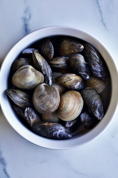 Steamed Mussels and Clams Recipe (with Wine and Garlic) - CucinaByElena How To Cook Clams, Steamed Clams Recipe, Clams And Mussels, Clams Recipe, Steamed Clams, Steamed Mussels, Yummy Seafood, Clam Recipes, Hard Cider