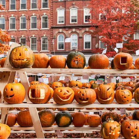 places to travel for halloween Best Pumpkin Patches, Ghost Sightings, Visit Orlando, Visit New Orleans, Cities To Visit, Spooky Places, Spooky Town, Ghost Tour, Pub Crawl