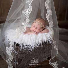 I LOVE this idea of incorporating your wedding veil in your newborn photos. Gorgeous photo from @carriewernerphotography #baby #veil #mom #mommylife #photooftheday #photography #newborn #newbornphotography #pretty #gorgeous #darling #darlingmovement #crea Foto Newborn, Baby Fotografie, Newborn Pics, Baby Poses, Newborn Baby Photos, Newborn Poses, New Born Baby, Foto Baby, Foto Tips