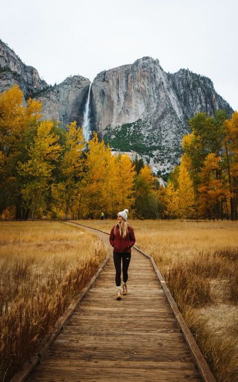 Yosemite In October Yosemite National Park Photography, Yosemite Park, California Hikes, National Parks Photography, Fall Camping, Yosemite Falls, California National Parks, Fall Hiking, Yosemite Valley