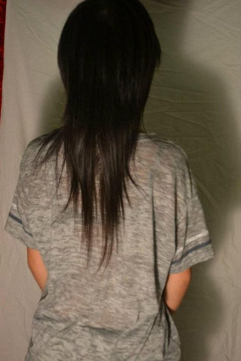 Asian Mullet Back View "V" Scene Hair Back View, V Haircut With Layers, Black Emo Hair, Brown Scene Hair, Blonde Scene Hair, Hair From The Back, Asian Mullet, Scene Hair Tutorial, Scene Hair Bangs