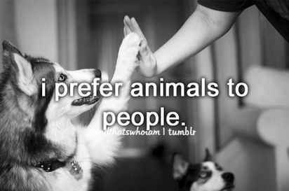 I prefer animals to people Animal Quotes, Dog Quotes, I Love Dogs, Beautiful Creatures, The Words, True Stories, Dog Love, Puppy Love, A Dog