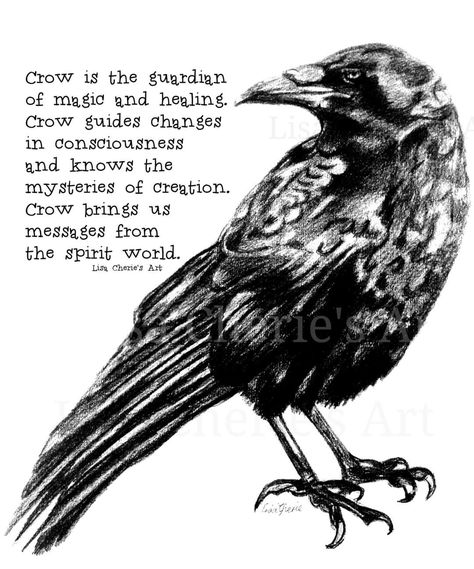 Crow Meaning, Crow Facts, Raven Spirit Animal, Witchcraft Meaning, Crow Spirit Animal, Crow Totem, Healing Messages, Crow Medicine, Bird Black And White