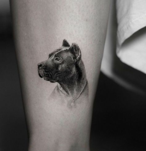 Dojo Tattoo, Cane Corso Tattoo, Dog Portrait Tattoo, Pitbull Tattoo, Portrait Tattoos, Arm Tattoos For Guys, Cane Corso, Skin Art, First Tattoo