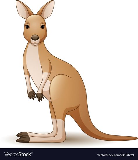 Kangaroo isolated on white background Royalty Free Vector Kangaroo Cartoon Drawing, Kangaroo Drawing Cute, Kangaroo Clipart, Kangaroo Cartoon, Cartoon Kangaroo, Kangaroo Drawing, Kangaroo Illustration, Wildlife Artwork, Boy Illustration