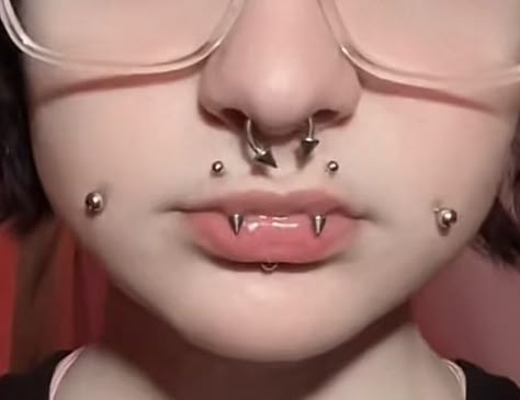 Different Types Of Face Piercings, Vampire Fangs Piercing, Angle Fangs And Snake Bites, Angle Bites Piercings, Angel Fang Peircings, Vertical Angel Bites Piercing, Vampire Piercing Mouth, Angel Fangs Piercing Lip, Angel Bite Piercing Fangs