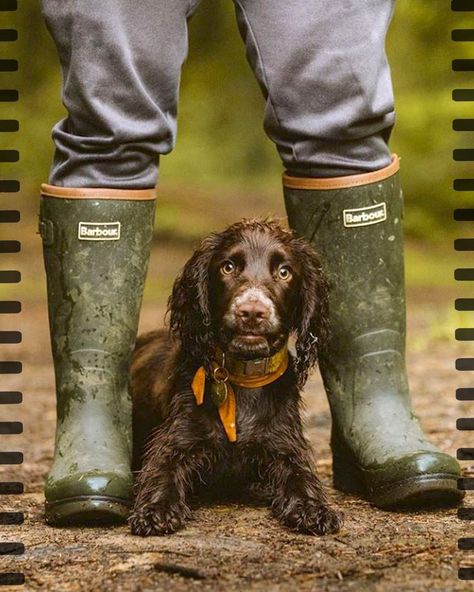 Barbour on Instagram: “Whether its rambling in the countryside or taking the dog for a stroll, how are you living the #BarbourWayOfLife? We love this photo of…” Countryside Fashion, British Country Style, British Country, Farm Clothes, Country Lifestyle, Spaniel Puppies, Country Fashion, British Countryside, Irish Setter