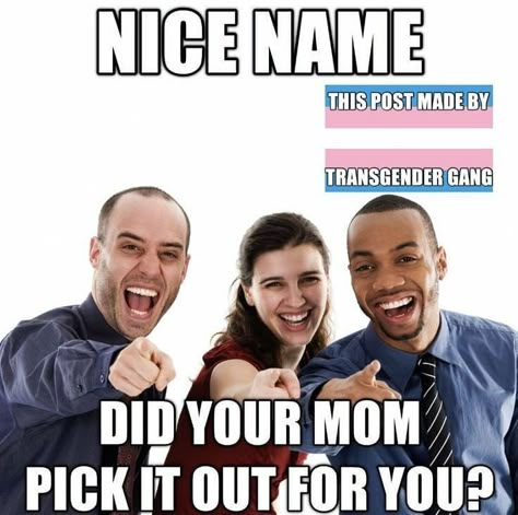 Nice Name, Lgbt Humor, Trans Boys, Lgbt Memes, Lgbtq Funny, Rainbow T Shirt, Gay Memes, Trans Pride, Jotaro Kujo