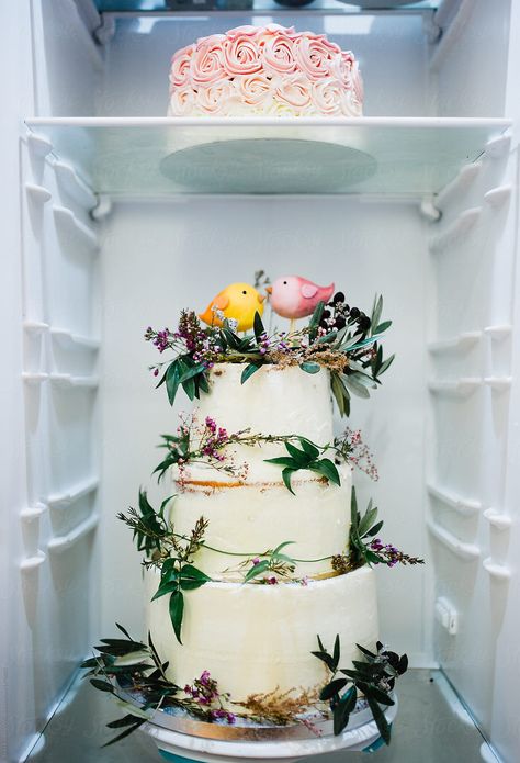 Cake Inside, Wedding Cake Birds, Bird Wedding, Cinematography, Wedding Cake, Stock Photography, Decorative Jars, Wild Flowers, Wedding Cakes