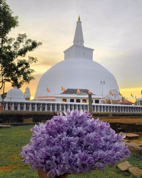 Srilanka Aesthetic, Sri Lanka Temple, Temple Aesthetic, Goals 2025, Sri Lanka Photography, 2023 Quotes, Messy Life, B R Ambedkar, Flowers Quotes