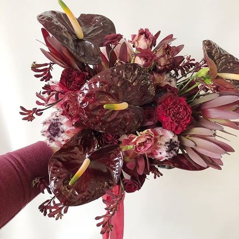 My shirt matched the bouquet this morning and I didn't even plan it! Can you tell I love burgundy? Can't wait to see how @samanthasuzannephotography captures this at @spruceweddingrentals new warehouse space. Love this dark and moody vibe! Moody Wedding Flowers, Red Flower Arrangements, Enchanted Flowers, Warehouse Space, Monochrome Weddings, Burgundy Bouquet, Red Bouquet, Dark And Moody, My Shirt