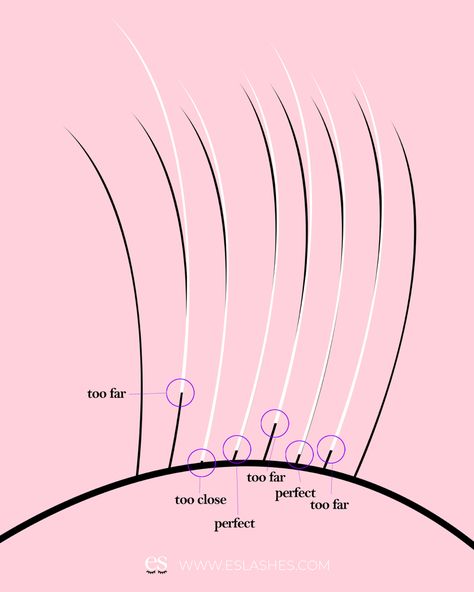 Showing distance between eyelash extension application and distance from the eyelid. Lashes should be applied 0.05 mm away from the lid Lash Tech Calendar, Travel Lash Tech, Lash Tech Must Haves List, Lash Tech Beginner Tips, Beginner Lash Tech Supplies, Lash Tech Beginner, Lash Extensions Beginner, Beautician Tips, Lash Tech Policies