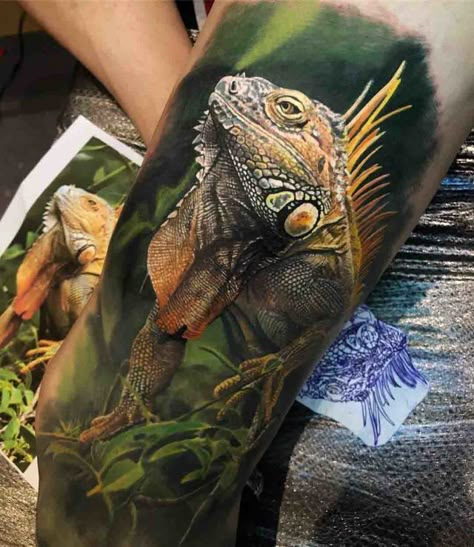 realistic iguana tattoo Arlo Tattoo, Iguana Tattoo, Dog Tags Tattoo, Steve Butcher Tattoo, Bearded Dragon Tattoo, Best 3d Tattoos, Lizard Tattoo, Tattoos Pictures, Tier Tattoo