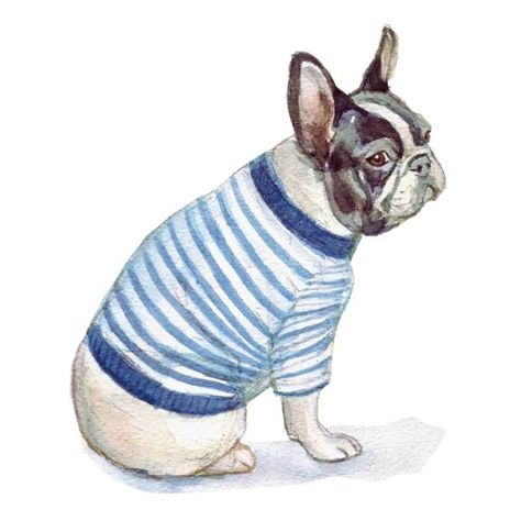 Excuse my French! French Dog Illustration, French Bulldog Illustration, Excuse My French, Bulldog Illustration, French Dog, Poor Things, French Dogs, Frenchie Dog, Watercolour Illustration