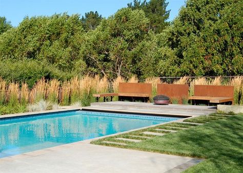 20 Landscaping Ideas Using Grass Plants Diy Rock Landscaping Ideas, Pool Surround, Contemporary Pool, Feather Reed Grass, Pool Landscape Design, Backyard Pool Landscaping, Coastal Gardens, Pool Fence, Pool Time