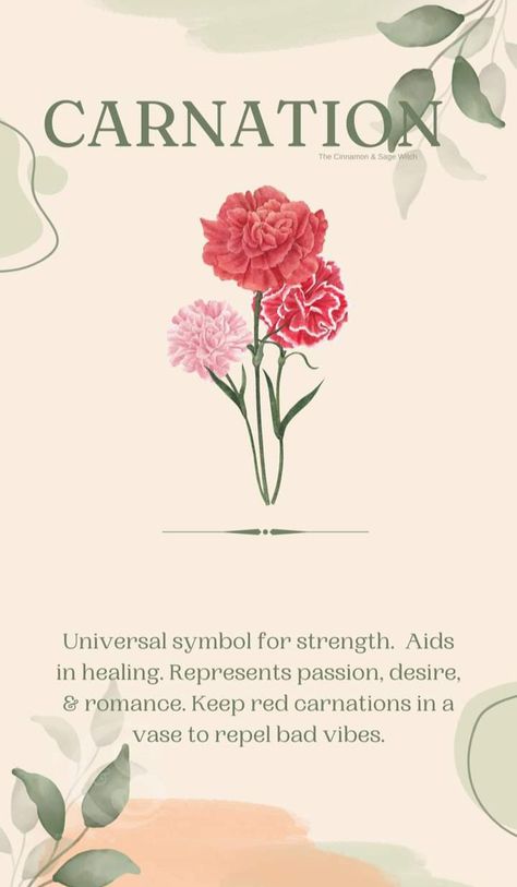 Carnation Color Meaning, Flowers Symbolism, Plants Meaning, Plant Meanings, Carnation Colors, Flower Symbolism, Divinely Guided, Different Kinds Of Flowers, Flower Journal