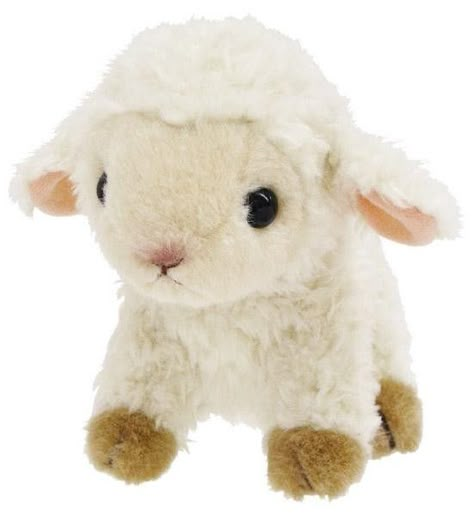 Cartoon Lamb, Vegan Dog, Cute Lamb, You're So Pretty, Baby Goats, Cute Stuffed Animals, Cute Plush, Cute Creatures, Plush Animals