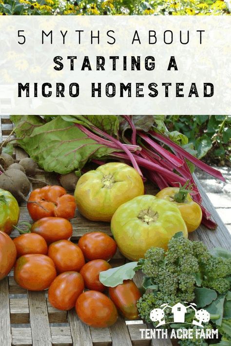 Micro Farm, Homegrown Food, Homesteading Diy, Grow Food, Homestead Gardens, Homesteading Skills, Survival Gardening, Urban Homesteading, Edible Landscaping