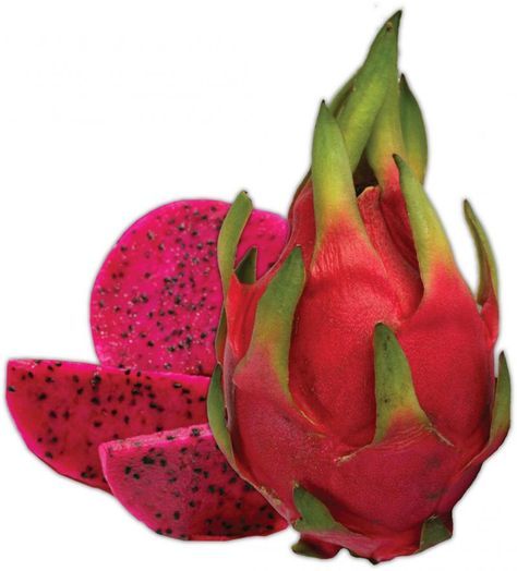 Dragon fruit Dragon Fruit Varieties, Dragon Fruit Cactus, Como Plantar Pitaya, Pitaya Fruit, Dragon Fruit Pitaya, Png Collage, B2 Vitamin, Buah Naga, Thanh Long