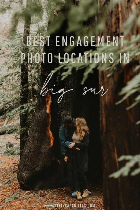 Engagement Photos Big Sur, Big Sur Photoshoot, Big Sur Engagement Photos, Big Trees California, Mcway Falls Big Sur, Big Sur Engagement, Save The Date Pictures, Big Sur Elopement, Mcway Falls