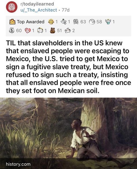 20+ Fascinating Facts For Perpetual Knowledge Seekers - Memebase - Funny Memes History Poster, History Nerd, Black Knowledge, Faith In Humanity Restored, Humanity Restored, Historical Facts, Interesting History, African History, The More You Know