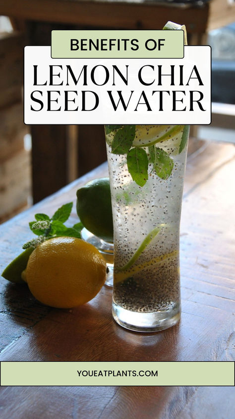 Learn about the benefits of lemon chia seed water and how it can improve your health easily! Chia Seed Recipes Water, Chia And Lemon Water, Lemon Juice And Chia Seed Drink, Chia Seed Lemon Water, Lime And Chia Seed Water, Lemon Water And Chia Seeds, Chia Seed Water Benefits, How To Drink Chia Seeds In Water, Lemon Juice Chia Seeds Honey Water