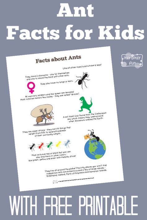 Fun Ant Facts for Kids With Free Printables Ants Preschool, Preschool Ant, Ant Lesson, Ants Activities, Insects Preschool, Bugs Preschool, Insect Activities, Fun Facts For Kids, Summer Preschool