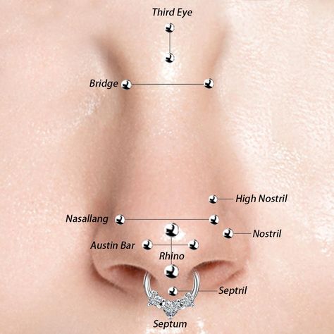 From top to bottom, the nose piercings include the third eye, the bridge of the nose, the upper nostril, the nasal tongue, the Austin beam, the rhinoceros, and the septril. Nose Piercing Nasallang, Rhino Piercing Aesthetic, Narrow Nose Bridge, Rhino Piercing Nose, Septril Piercings, Nose Piercing Size Chart, Vertical Nose Tip Piercing, Nasal Piercing, Nose Bridge